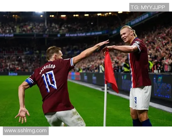 全球足球界挪威球星实力排名揭晓 这些球员值得关注