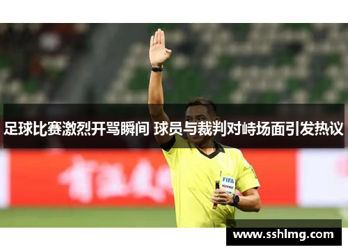 足球比赛激烈开骂瞬间 球员与裁判对峙场面引发热议